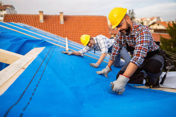 Best Flat Roof Repair Services  in Blennerhassett, WV